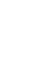 Ichi Geki